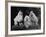 Mini Poodle Trio-null-Framed Photographic Print