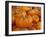 Mini pumpkins at fruit stand, Los Angeles, CA-Rob Sheppard-Framed Photographic Print