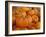 Mini pumpkins at fruit stand, Los Angeles, CA-Rob Sheppard-Framed Photographic Print