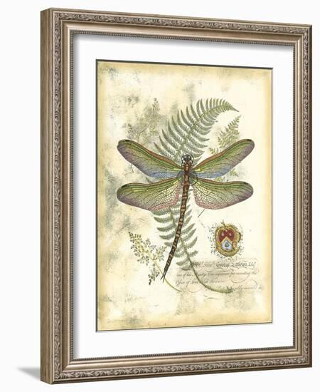 Mini Regal Dragonfly I-Vision Studio-Framed Art Print