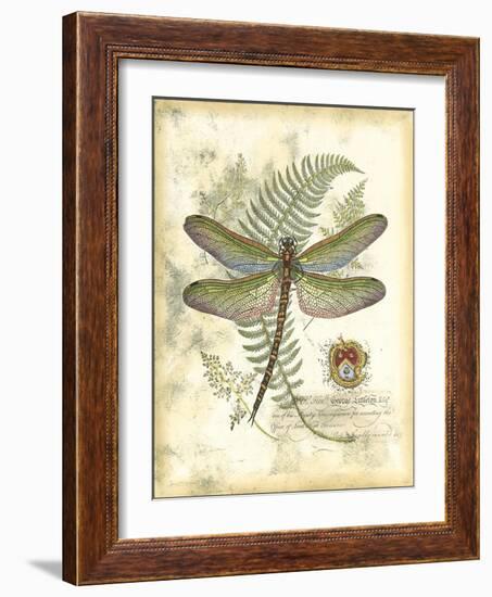 Mini Regal Dragonfly I-Vision Studio-Framed Art Print