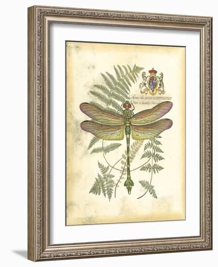 Mini Regal Dragonfly III-Vision Studio-Framed Art Print