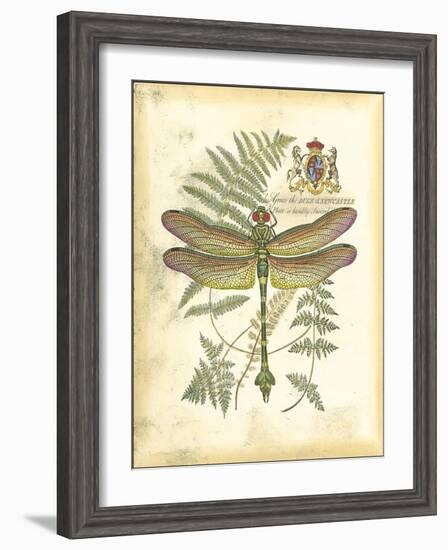 Mini Regal Dragonfly III-Vision Studio-Framed Art Print