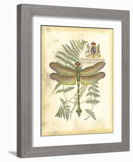 Mini Regal Dragonfly III-Vision Studio-Framed Art Print