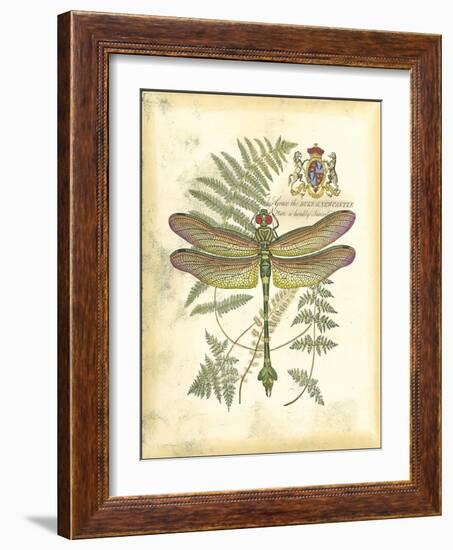 Mini Regal Dragonfly III-Vision Studio-Framed Art Print