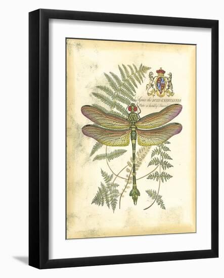 Mini Regal Dragonfly III-Vision Studio-Framed Art Print