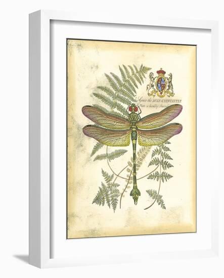 Mini Regal Dragonfly III-Vision Studio-Framed Art Print