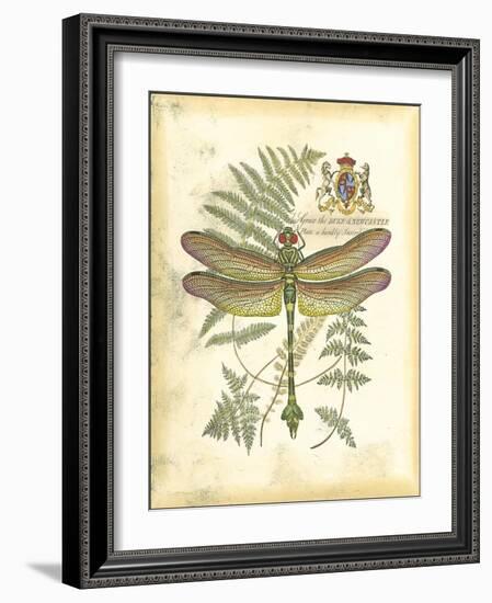Mini Regal Dragonfly III-Vision Studio-Framed Art Print