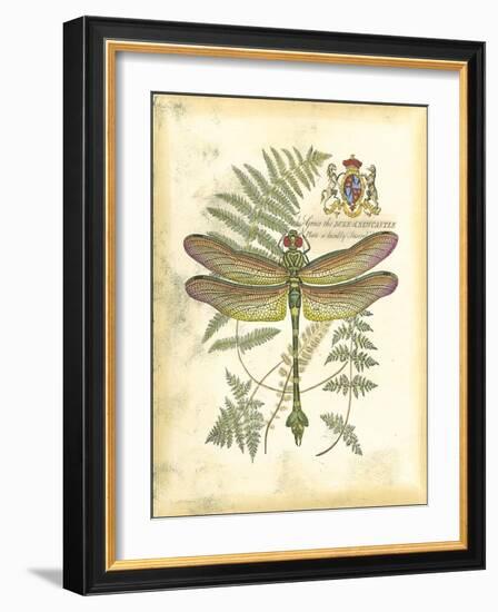 Mini Regal Dragonfly III-Vision Studio-Framed Art Print