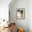 Mini Rex Domestic Rabbit, USA-Lynn M. Stone-Framed Photographic Print displayed on a wall