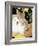 Mini Rex Domestic Rabbit, USA-Lynn M. Stone-Framed Photographic Print