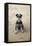 Mini Schnauzer Dog on Beach-null-Framed Premier Image Canvas