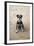 Mini Schnauzer Dog on Beach-null-Framed Photographic Print