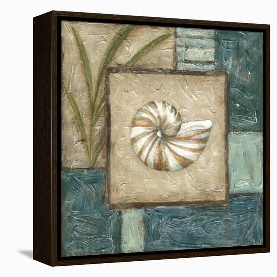 Mini Shell Montage I-Chariklia Zarris-Framed Stretched Canvas