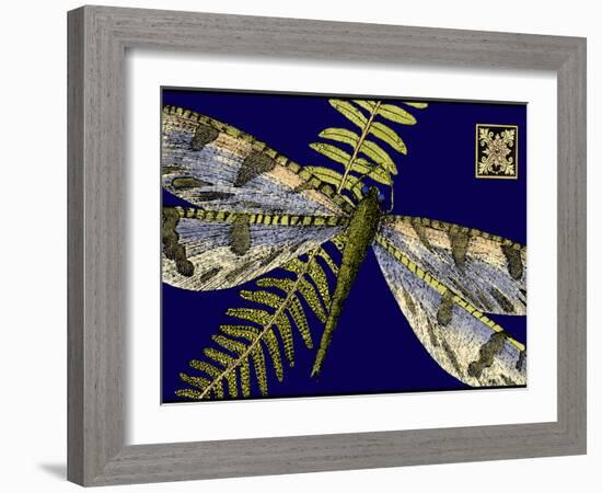 Mini Shimmering Dragonfly I-Vision Studio-Framed Art Print