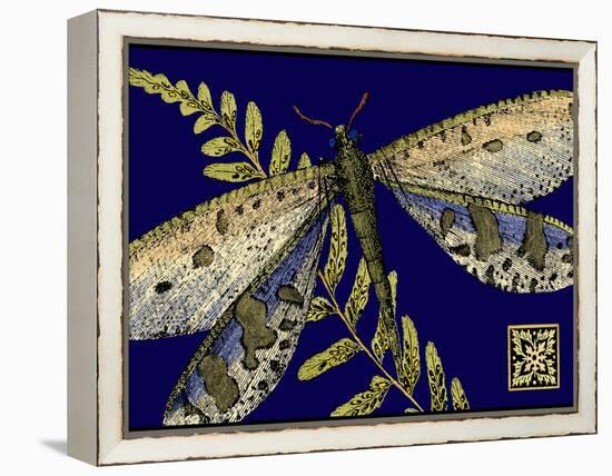 Mini Shimmering Dragonfly III-Vision Studio-Framed Stretched Canvas