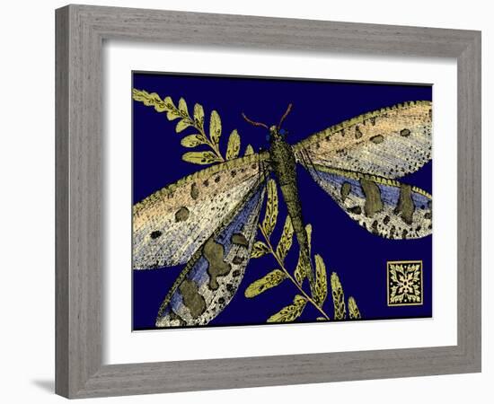 Mini Shimmering Dragonfly III-Vision Studio-Framed Art Print