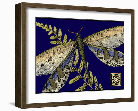 Mini Shimmering Dragonfly III-Vision Studio-Framed Art Print