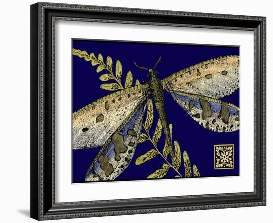 Mini Shimmering Dragonfly III-Vision Studio-Framed Art Print