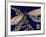 Mini Shimmering Dragonfly III-Vision Studio-Framed Art Print