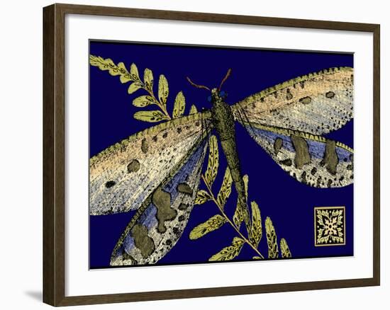 Mini Shimmering Dragonfly III-Vision Studio-Framed Art Print