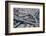 Mini Stack Interchange-Tim Roberts Photography-Framed Photographic Print