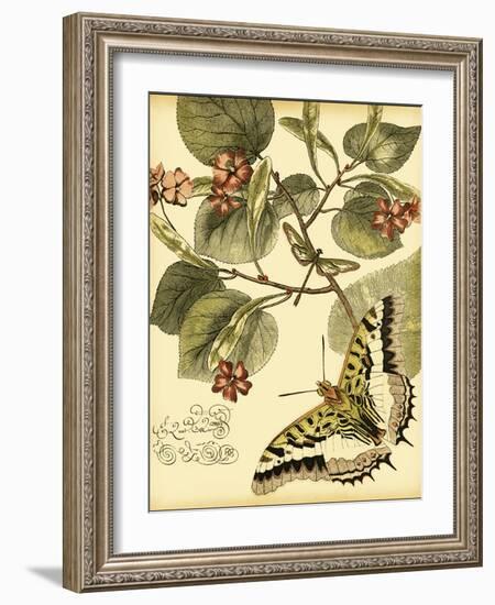 Mini Whimsical Butterflies I-Vision Studio-Framed Art Print