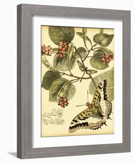 Mini Whimsical Butterflies I-Vision Studio-Framed Art Print