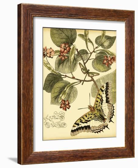 Mini Whimsical Butterflies I-Vision Studio-Framed Art Print