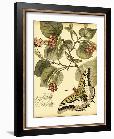 Mini Whimsical Butterflies I-Vision Studio-Framed Art Print