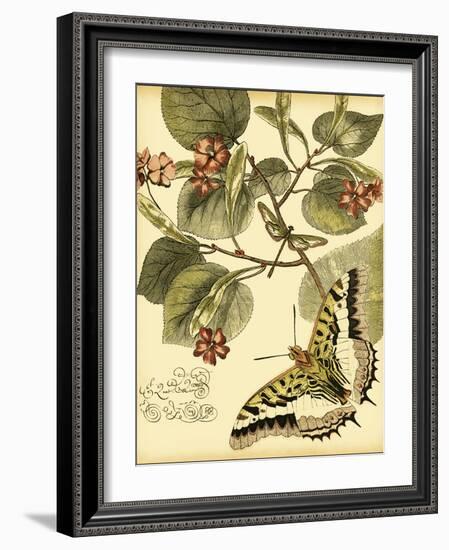 Mini Whimsical Butterflies I-Vision Studio-Framed Art Print