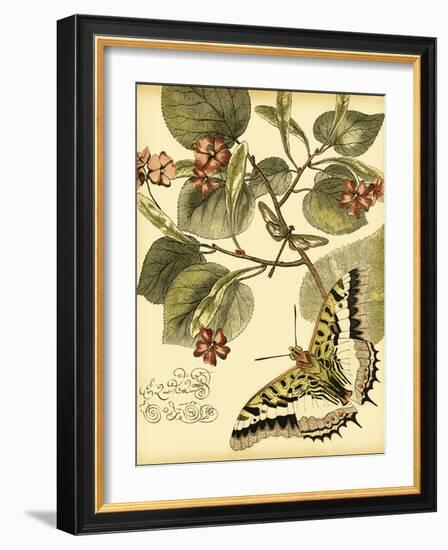Mini Whimsical Butterflies I-Vision Studio-Framed Art Print