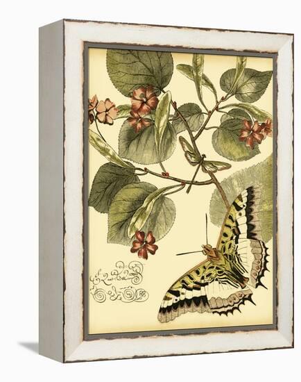 Mini Whimsical Butterflies I-Vision Studio-Framed Stretched Canvas