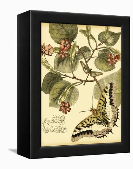 Mini Whimsical Butterflies I-Vision Studio-Framed Stretched Canvas