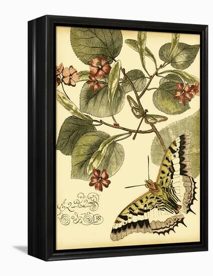 Mini Whimsical Butterflies I-Vision Studio-Framed Stretched Canvas