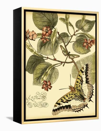 Mini Whimsical Butterflies I-Vision Studio-Framed Stretched Canvas