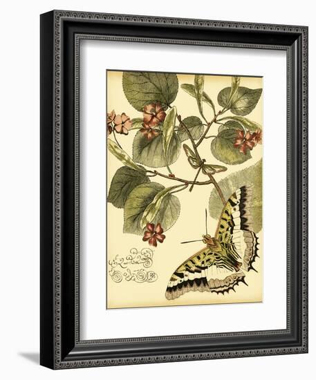 Mini Whimsical Butterflies I-Vision Studio-Framed Art Print