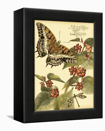 Mini Whimsical Butterflies II-Vision Studio-Framed Stretched Canvas