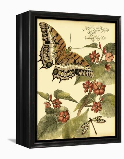 Mini Whimsical Butterflies II-Vision Studio-Framed Stretched Canvas