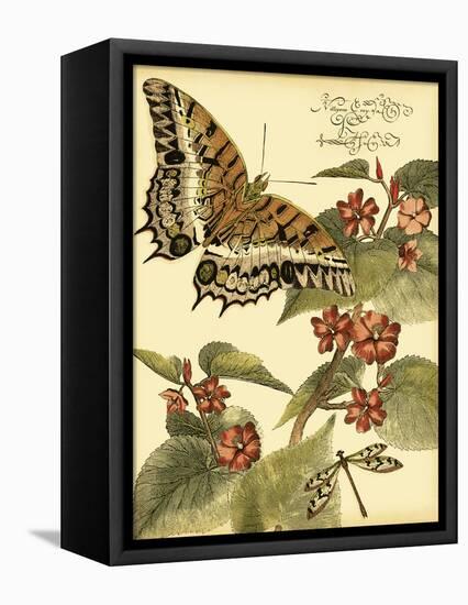 Mini Whimsical Butterflies II-Vision Studio-Framed Stretched Canvas