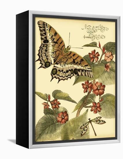 Mini Whimsical Butterflies II-Vision Studio-Framed Stretched Canvas