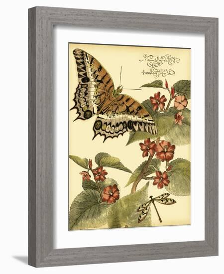 Mini Whimsical Butterflies II-Vision Studio-Framed Art Print