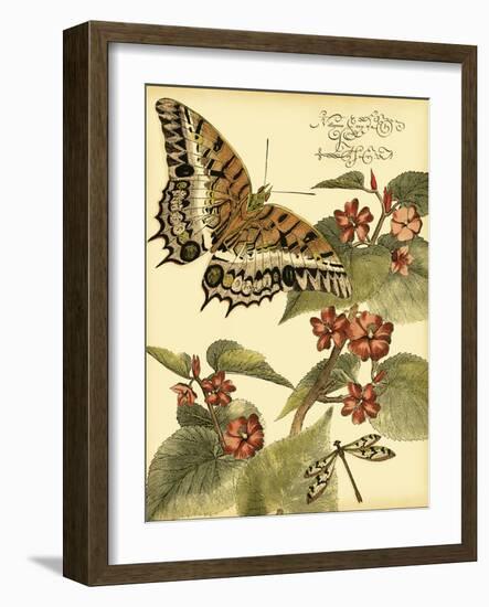 Mini Whimsical Butterflies II-Vision Studio-Framed Art Print