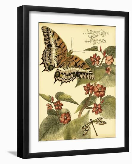 Mini Whimsical Butterflies II-Vision Studio-Framed Art Print