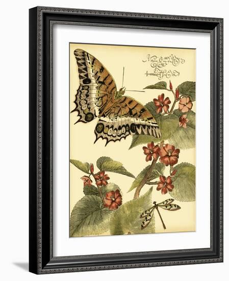 Mini Whimsical Butterflies II-Vision Studio-Framed Art Print