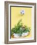 Miniature Footballer Fighting His Way Through Forest of Dill-Martina Schindler-Framed Photographic Print