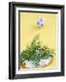 Miniature Footballer Fighting His Way Through Forest of Dill-Martina Schindler-Framed Photographic Print