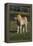 Miniature Horse 001-Bob Langrish-Framed Premier Image Canvas