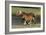 Miniature Horse 002-Bob Langrish-Framed Photographic Print