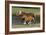 Miniature Horse 002-Bob Langrish-Framed Photographic Print